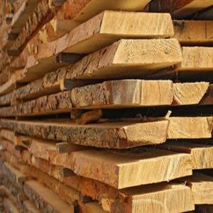 Jungle Wood Planks