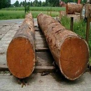 Honne Wood Log